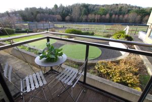 Photo 1- click for photo gallery